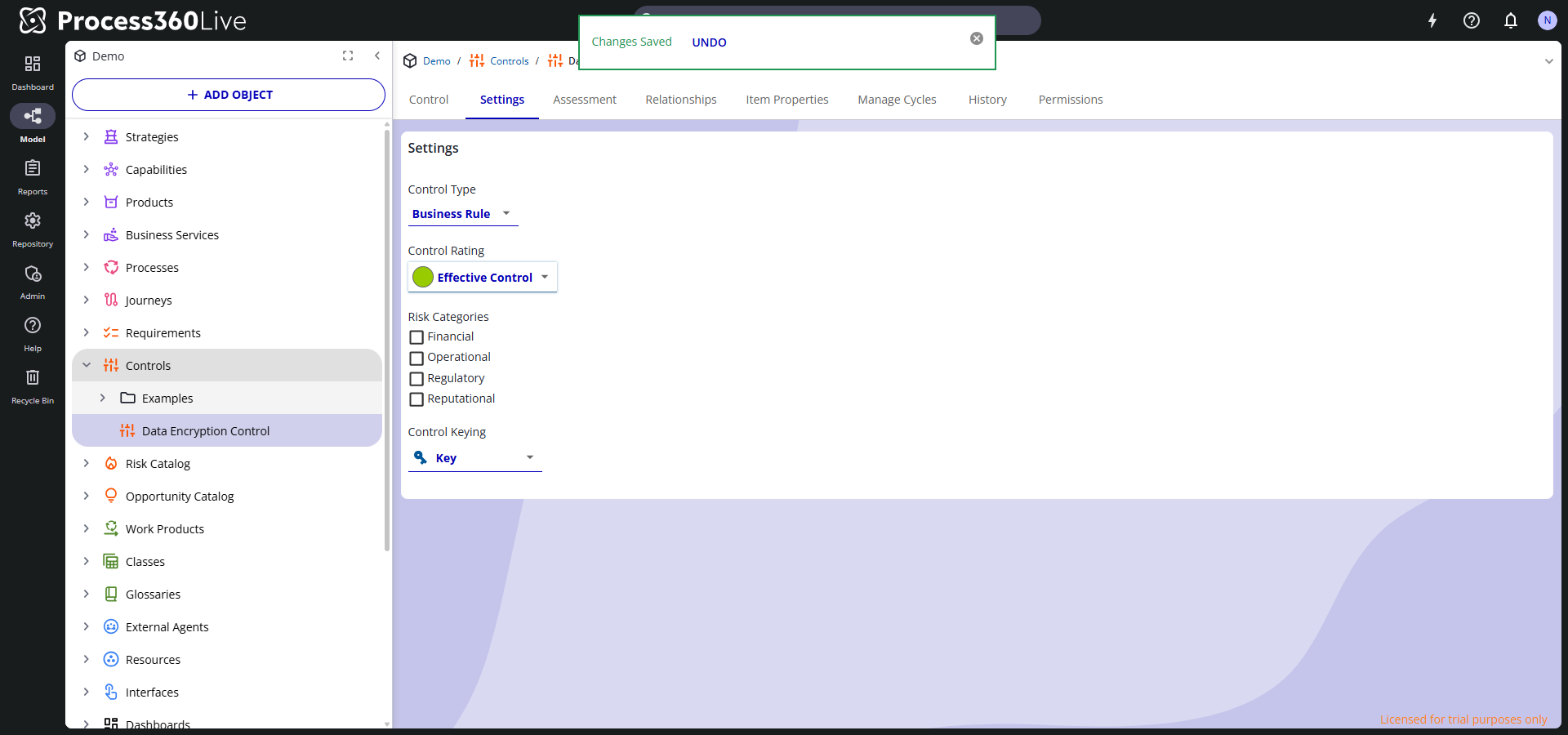 The Settings tab of a Control, showing Control Type, Control Rating, Risk Categories, and Control Keying.