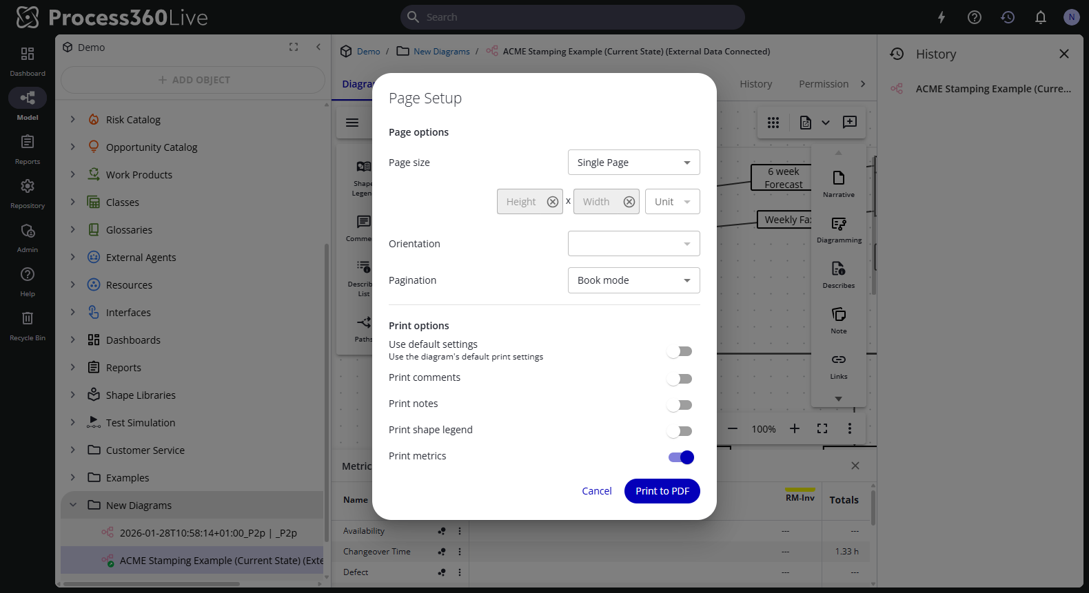 The Page Setup dialog in print mode, with page options on top and the print option toggles below.