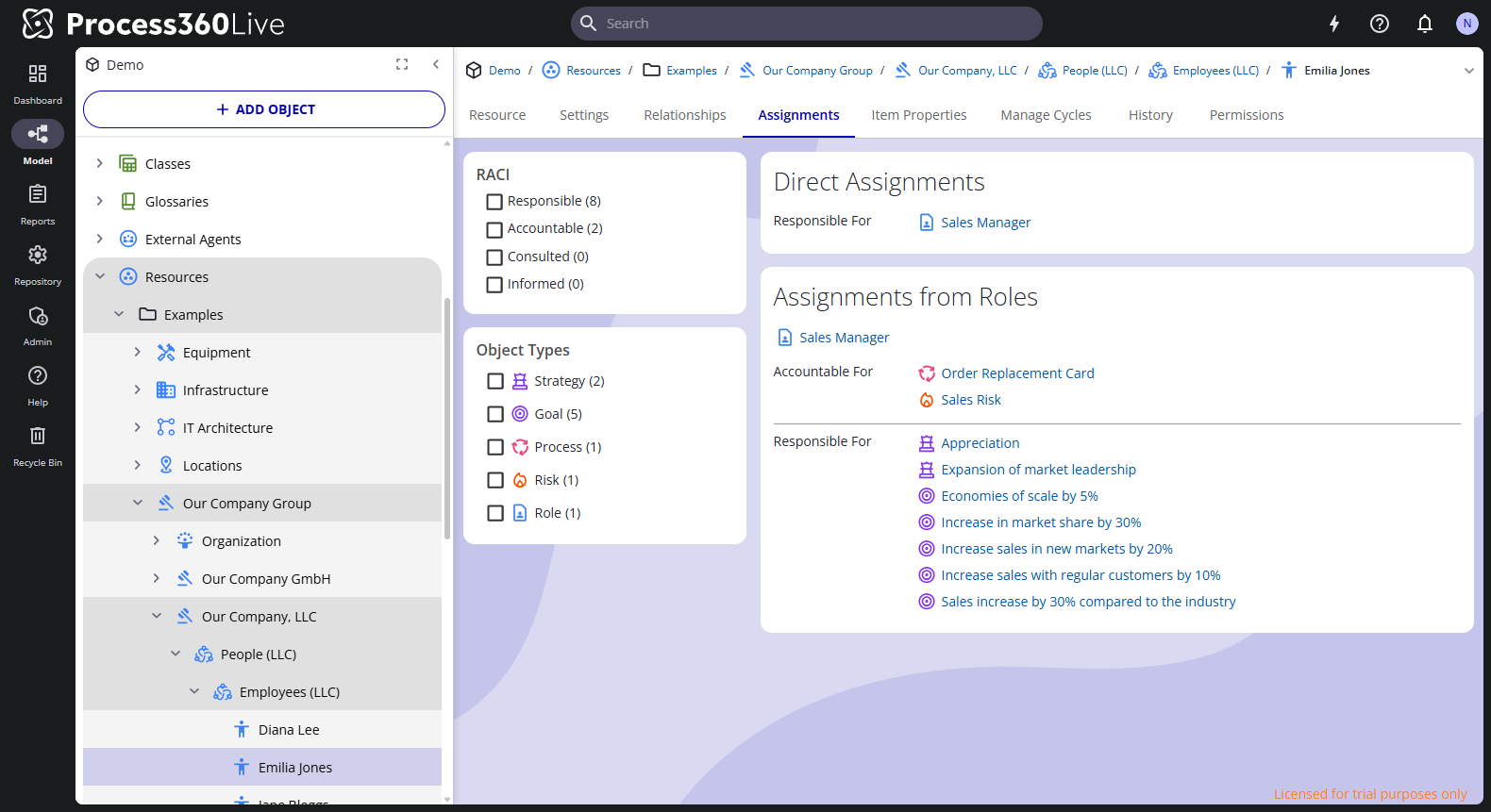 The My Assignments view with RACI and object type filters, direct assignments, and assignments grouped by the Sales Manager role.